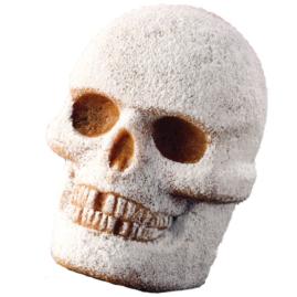 Wilton Cakes powdered-face-cake-main